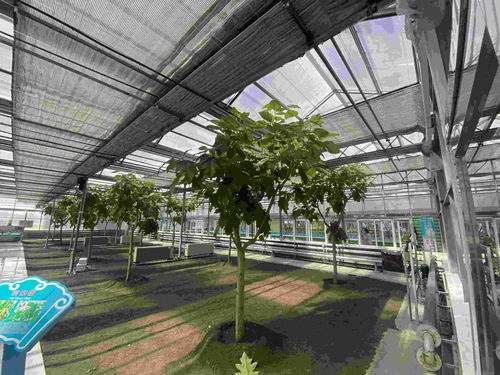 高質量發展調研行丨在北大荒,農產品有 絕活兒