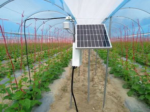 企業(yè)發(fā)展 北京商報(bào)網(wǎng) 慧云信息在農(nóng)業(yè)大數(shù)據(jù)搶占了一把先機(jī)