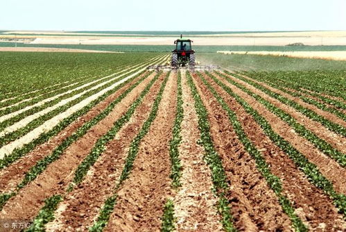 三年 還有三年,農(nóng)業(yè) 農(nóng)村將會(huì)發(fā)生10個(gè)變化