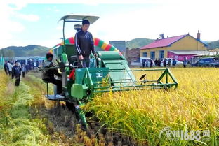 探索現代農業發展新路徑