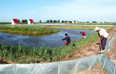 圖文:黃河三角洲農(nóng)業(yè)開(kāi)發(fā)結(jié)碩果(2)
