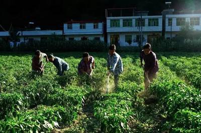 竹溪縣天寶鄉(xiāng),無(wú)限風(fēng)光在&ldquo;大峽&rdquo;