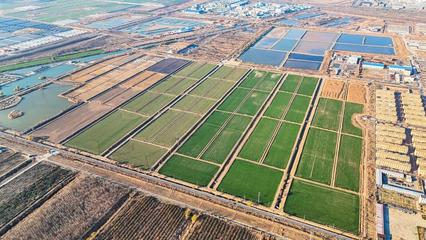 墾利經(jīng)濟(jì)開(kāi)發(fā)區(qū)、興隆街道:聚焦民生福祉 繪就幸福生活新圖景