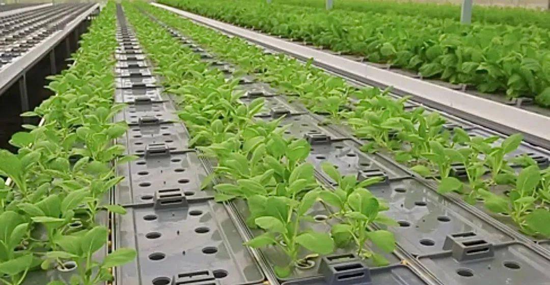 沭陽(yáng)成功創(chuàng)建節(jié)水型社會(huì)建設(shè)達(dá)標(biāo)縣