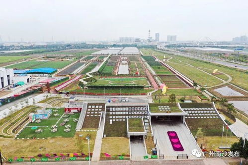 春節(jié)去哪 園 ▏看首個(gè)標(biāo)志性農(nóng)業(yè)ip,坐小火車,漫步520瓜果長(zhǎng)廊