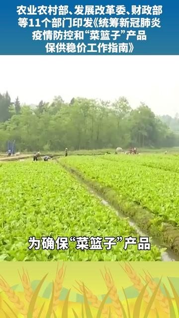 農(nóng)業(yè)農(nóng)村部 發(fā)展改革委 財(cái)政部等11個(gè)部門印發(fā)統(tǒng)籌新冠肺炎疫情防控和 菜籃子 產(chǎn)品保供穩(wěn)價(jià)工作指南
