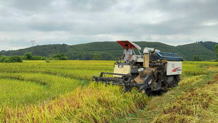 富川:鍛造好米&ldquo;鏈&rdquo;產(chǎn)供銷(xiāo)一體助農(nóng)增收