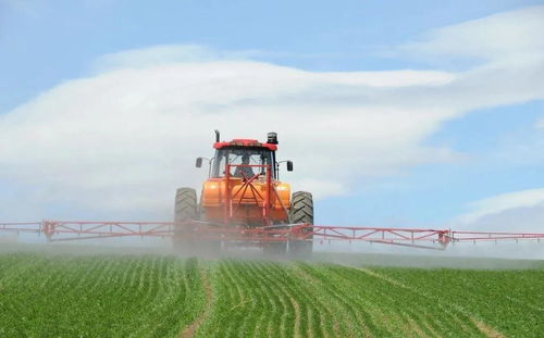 統(tǒng)籌推進(jìn)農(nóng)村疫情防控與農(nóng)業(yè)開(kāi)發(fā) 保障農(nóng)產(chǎn)品供給安全