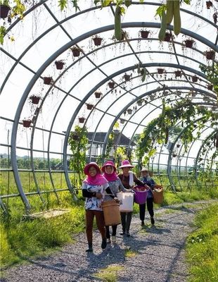 勇當(dāng)鄉(xiāng)村振興“偵察兵”“先鋒隊(duì)”——瀏陽(yáng)市國(guó)家級(jí)田園綜合體建設(shè)試點(diǎn)紀(jì)實(shí)