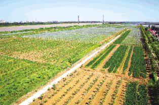 點(diǎn)亮農(nóng)業(yè)智慧之光——現(xiàn)代農(nóng)業(yè)創(chuàng)新開(kāi)發(fā)與經(jīng)濟(jì)發(fā)展新路徑