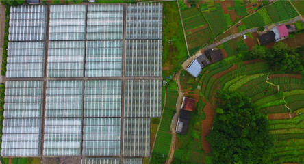 重慶巫溪 技術提升助力馬鈴薯產業發展，推動農業創新開發
