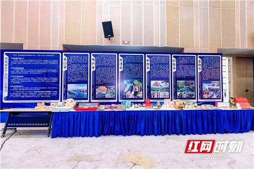 農博現場丨簽約金額超45億，湖南農業招商引資對接會助力中部農產品加工業發展