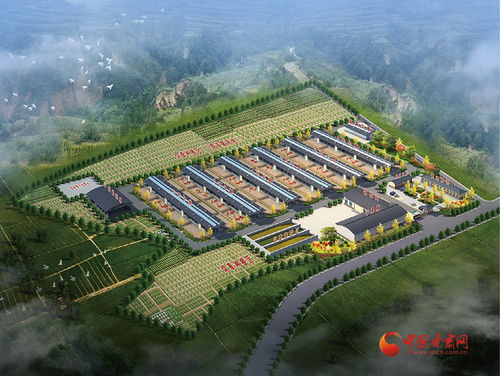 涇川加快培育新質生產力，激活農業產業發展新動能