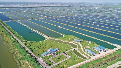 智慧農(nóng)業(yè)浪潮下，農(nóng)墾如何走在前列，引領(lǐng)農(nóng)業(yè)開(kāi)發(fā)新篇章