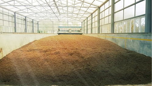 有機(jī)肥腐熟 農(nóng)業(yè)開發(fā)中的關(guān)鍵環(huán)節(jié)與科學(xué)實(shí)踐